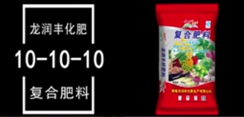 龙润丰（中文）